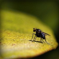 /album/adrian-vesper/photolia-a07-jpg/